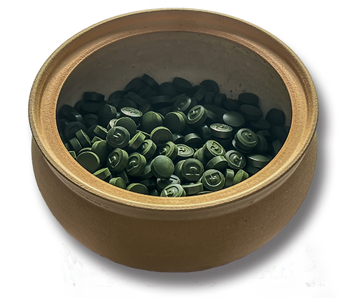 Chlorella