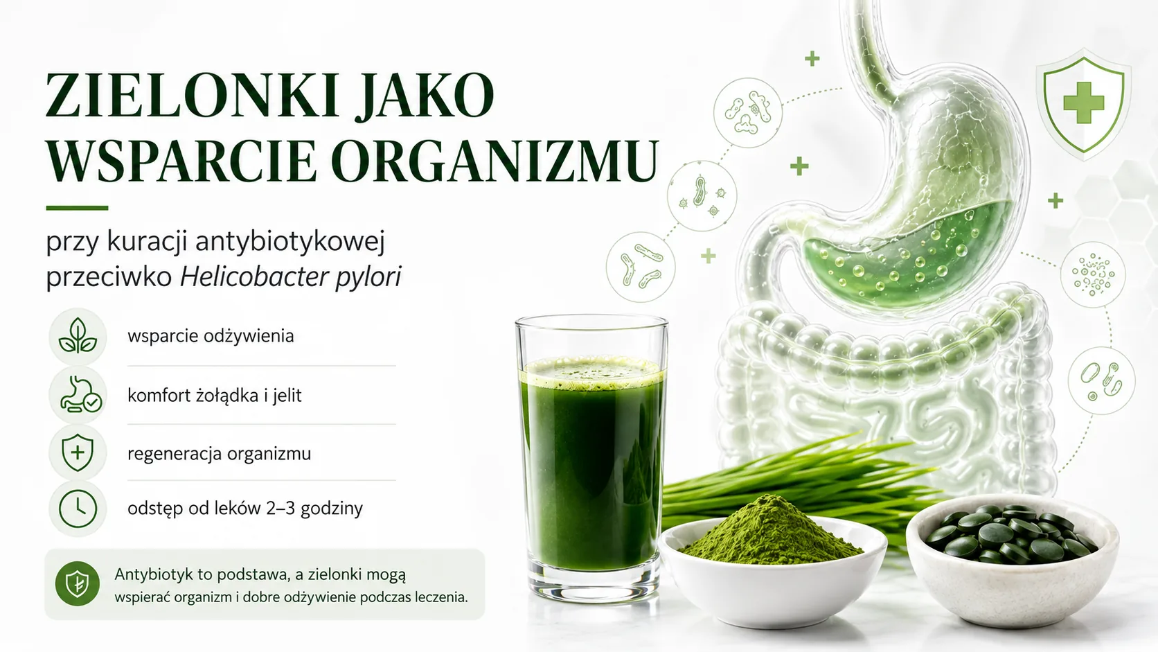 zielonki-helicobacter-pylori